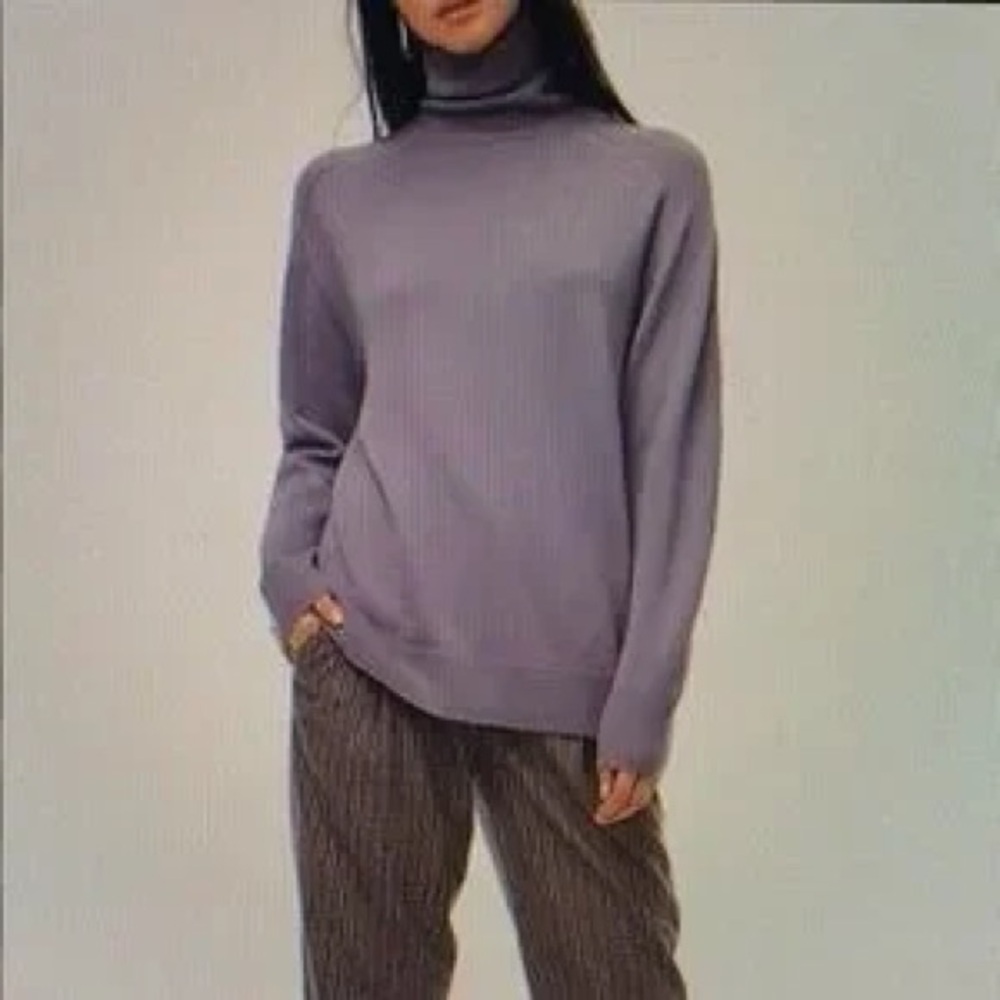 Aritzia Wilfred Augustine Turtleneck